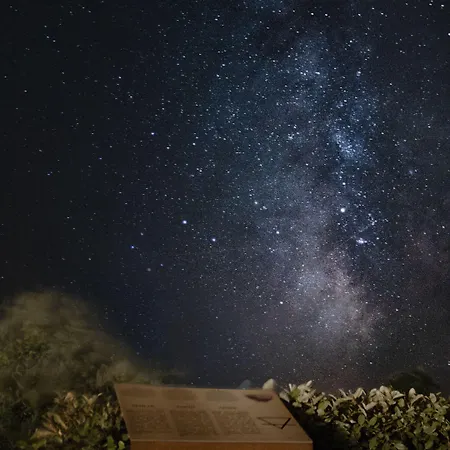 Apartament Wabi Sabi & Brzac