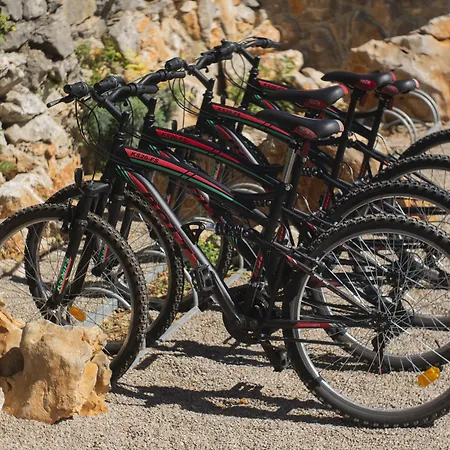 Wabi Sabi & Apartament *