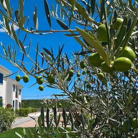 Wabi Sabi & Lejlighed Brzac